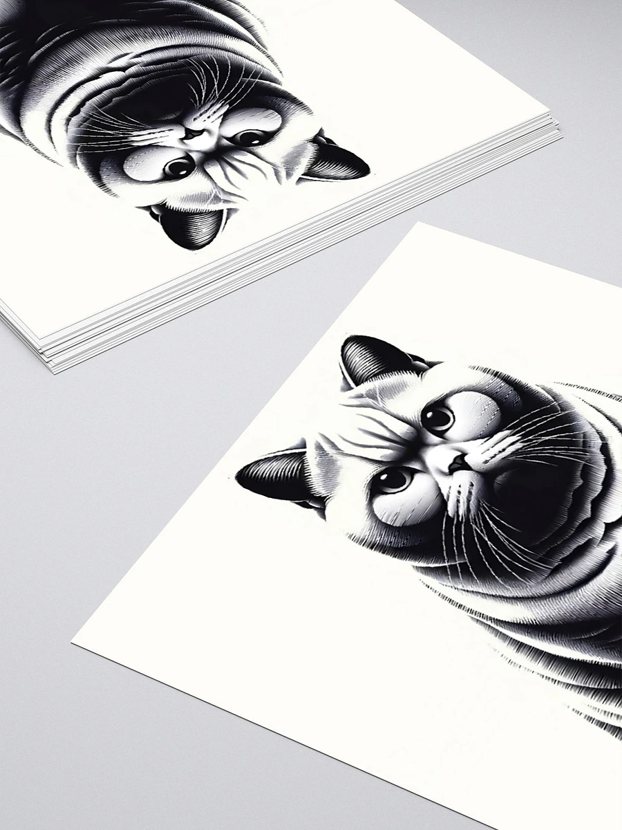 Kiss Cut Stickers: British Shorthair Monochrome product image (4)