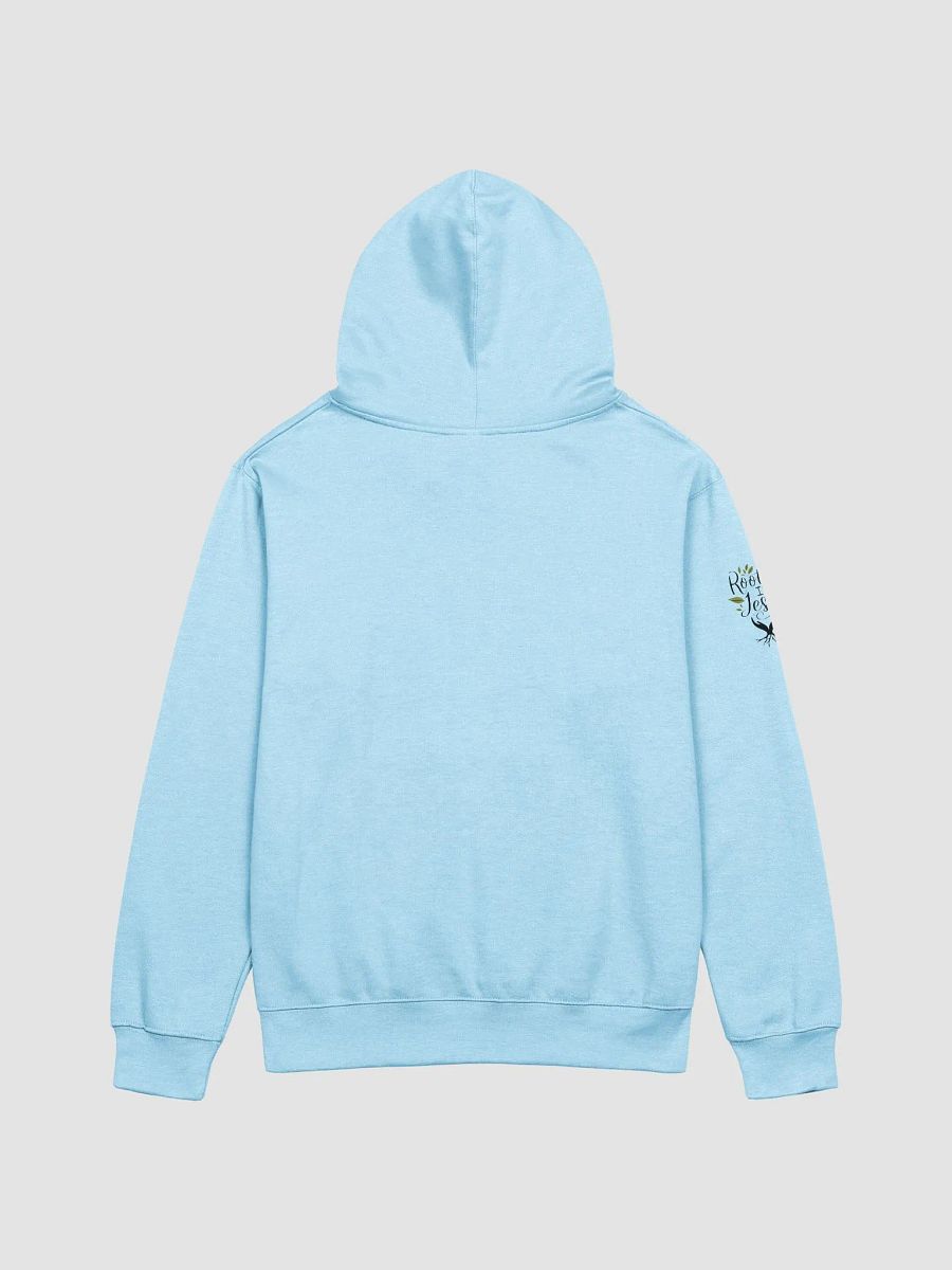 Rooted In Jesus Hoodie product image (10)