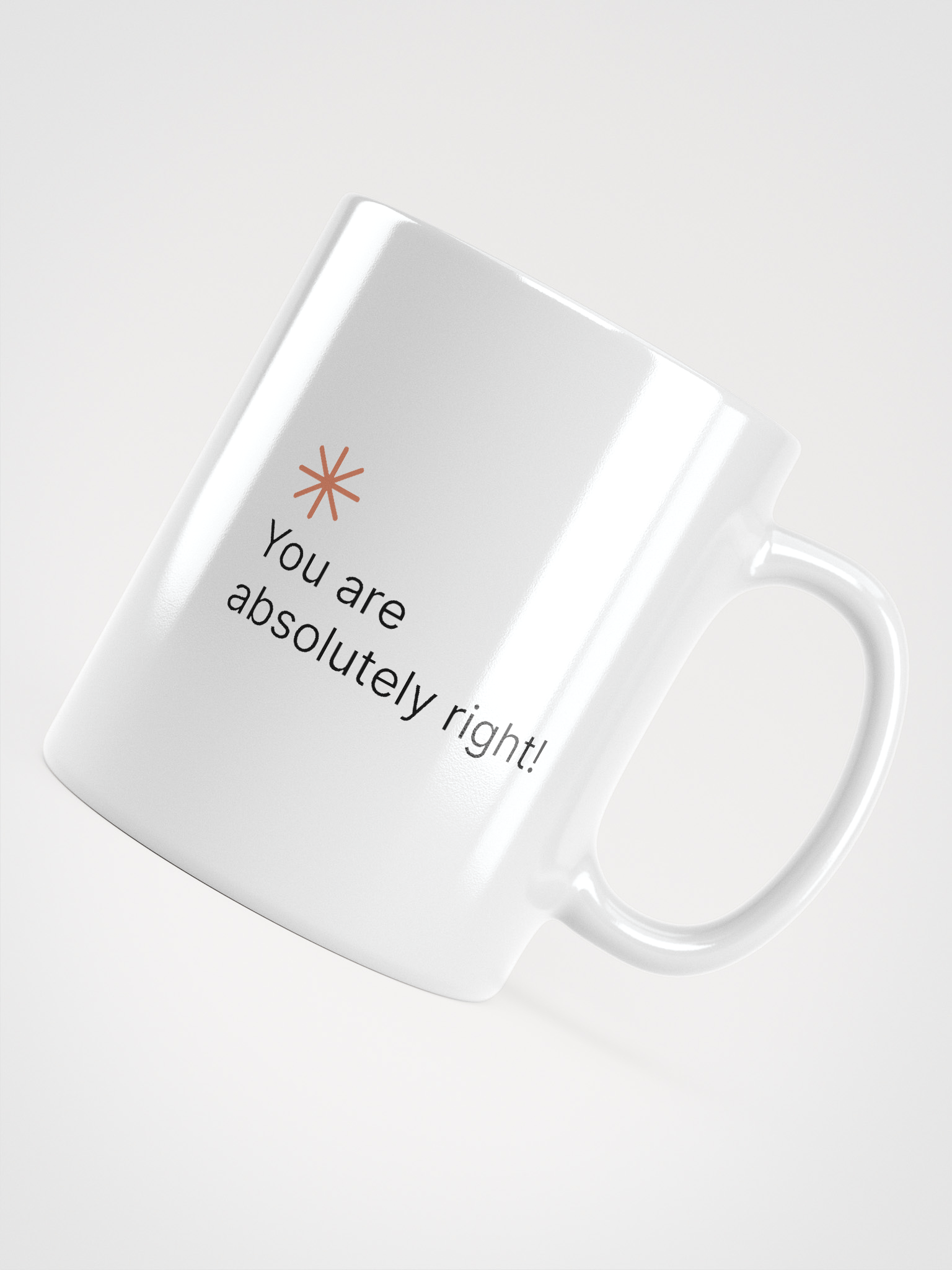 You are absolutely right! product image (4)