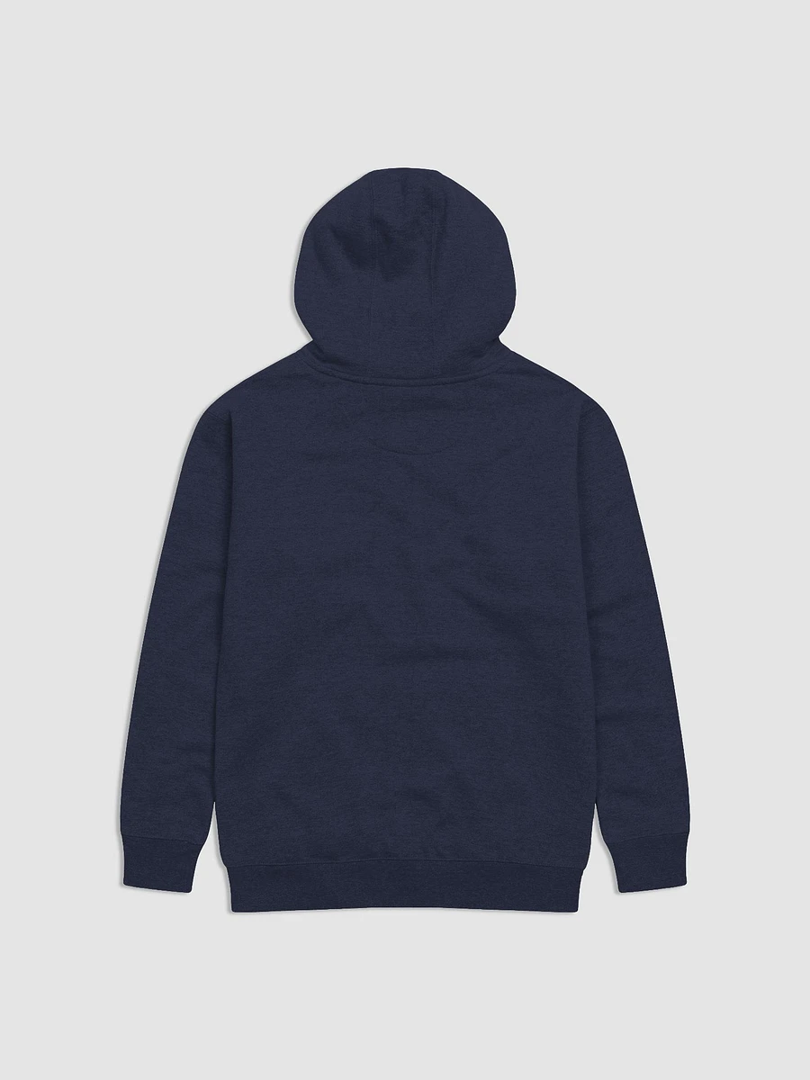 SALE - JLD Big Logo Hoodie product image (7)