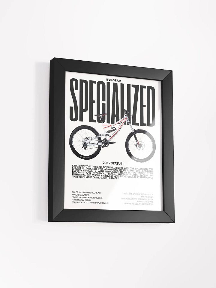 Specialized 2012 Status II Frame product image (9)