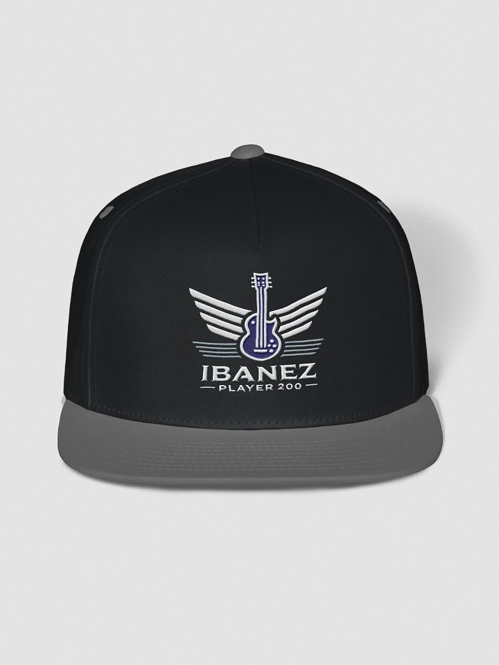 Windsock Snapback product image (1)