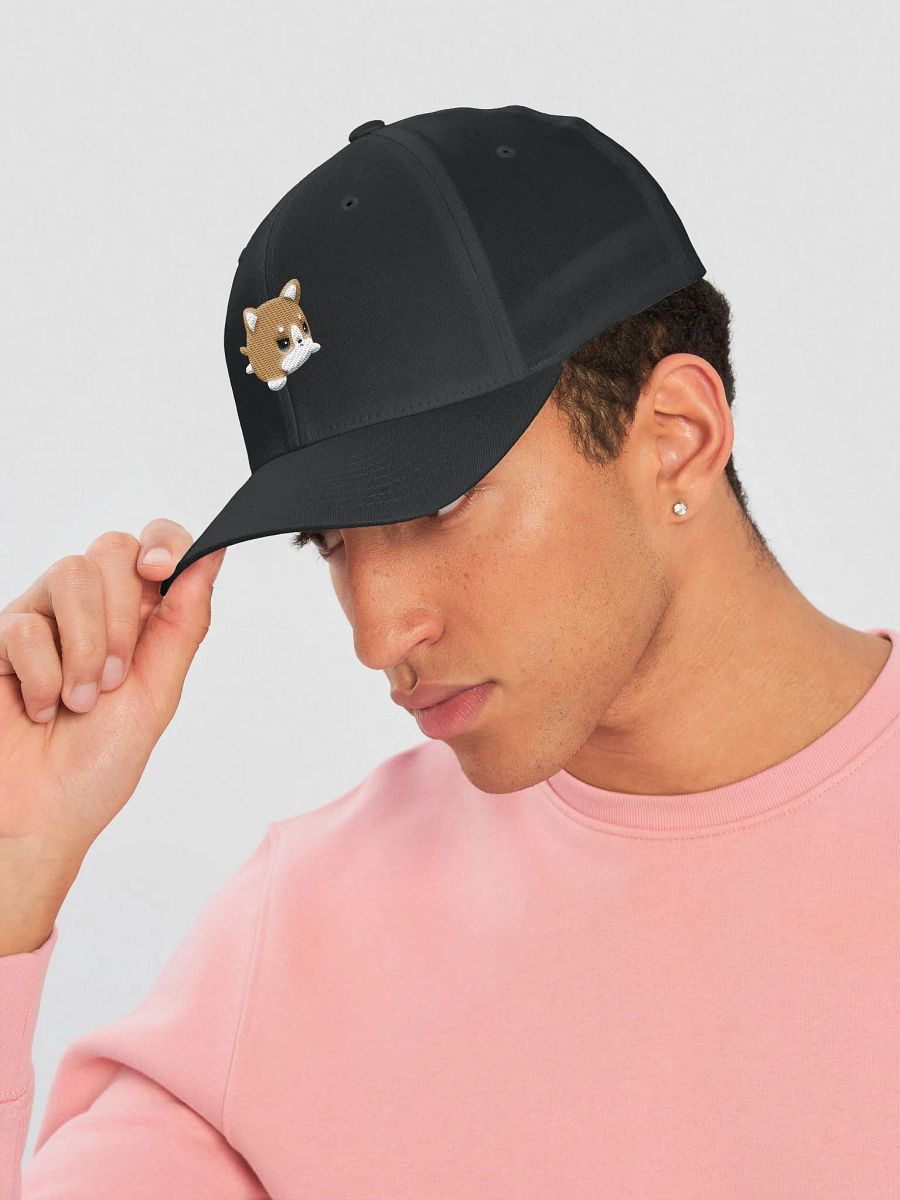 FlexFit Bad Bork Cap product image (4)