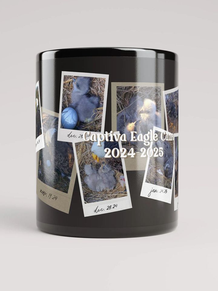 Journey | Black Mug | Captiva Eagle Cam 2024-2025 product image (1)