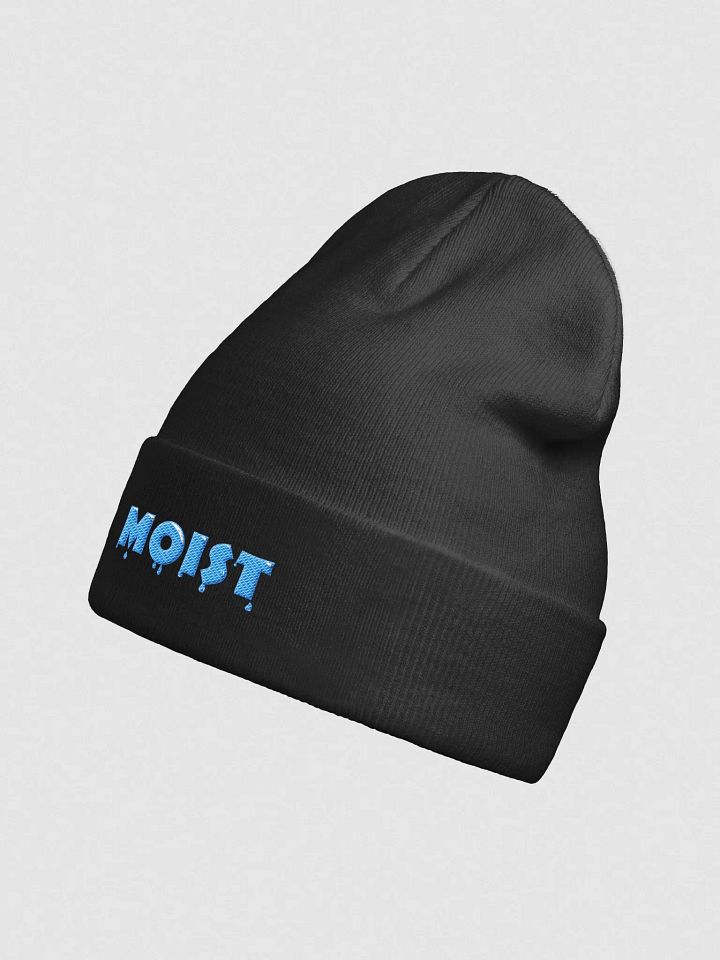 Moist Beanie product image (2)