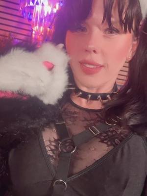 Have you seen my DJ sessions? 