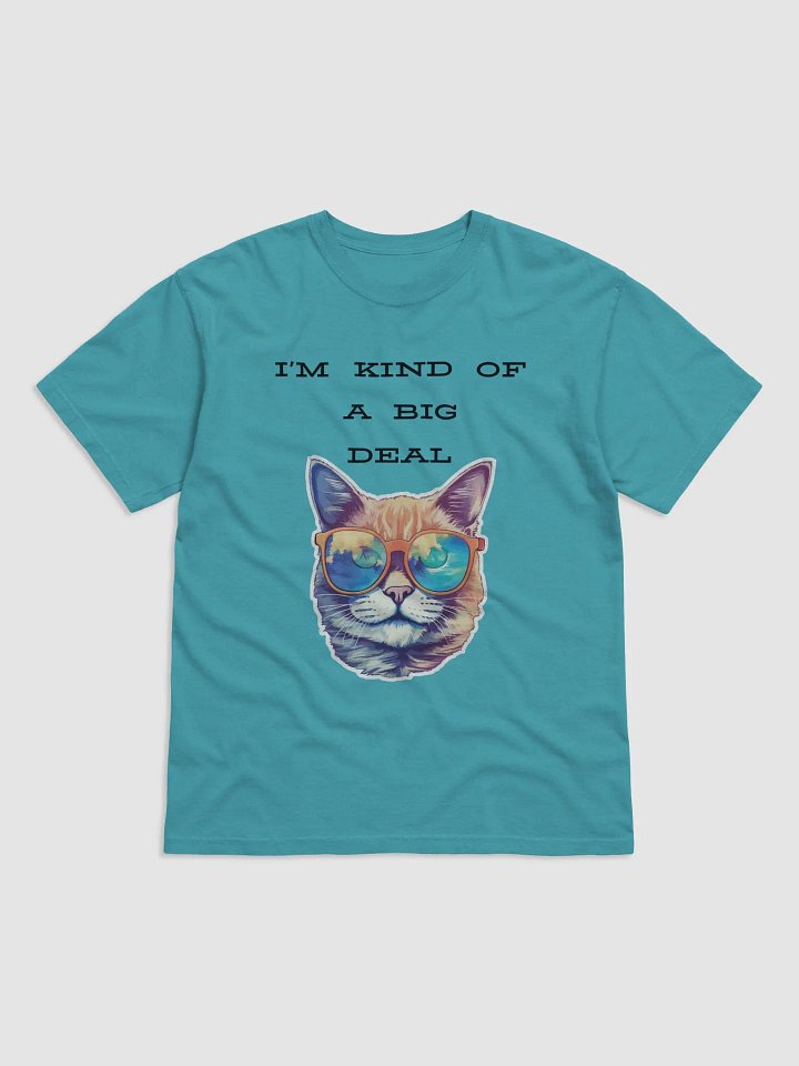 I'm kind of a big deal Heavyweight T-Shirt product image (12)