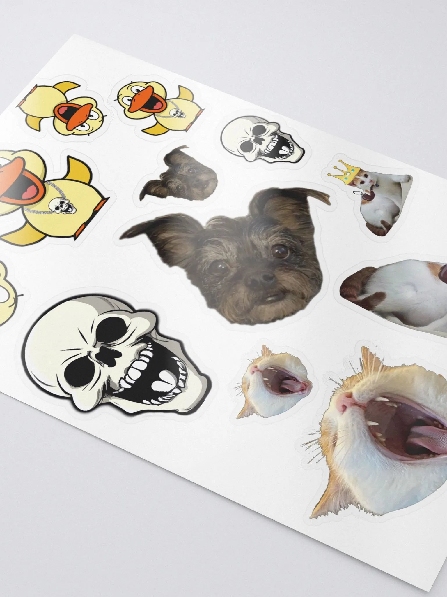 Variety Sticker Pack (12 count - Glossy Small/Medium) product image (3)