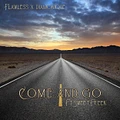 Flawless x Diamonique aka FXD - Come & Go ft. Sweet Freek MP3 product image (1)