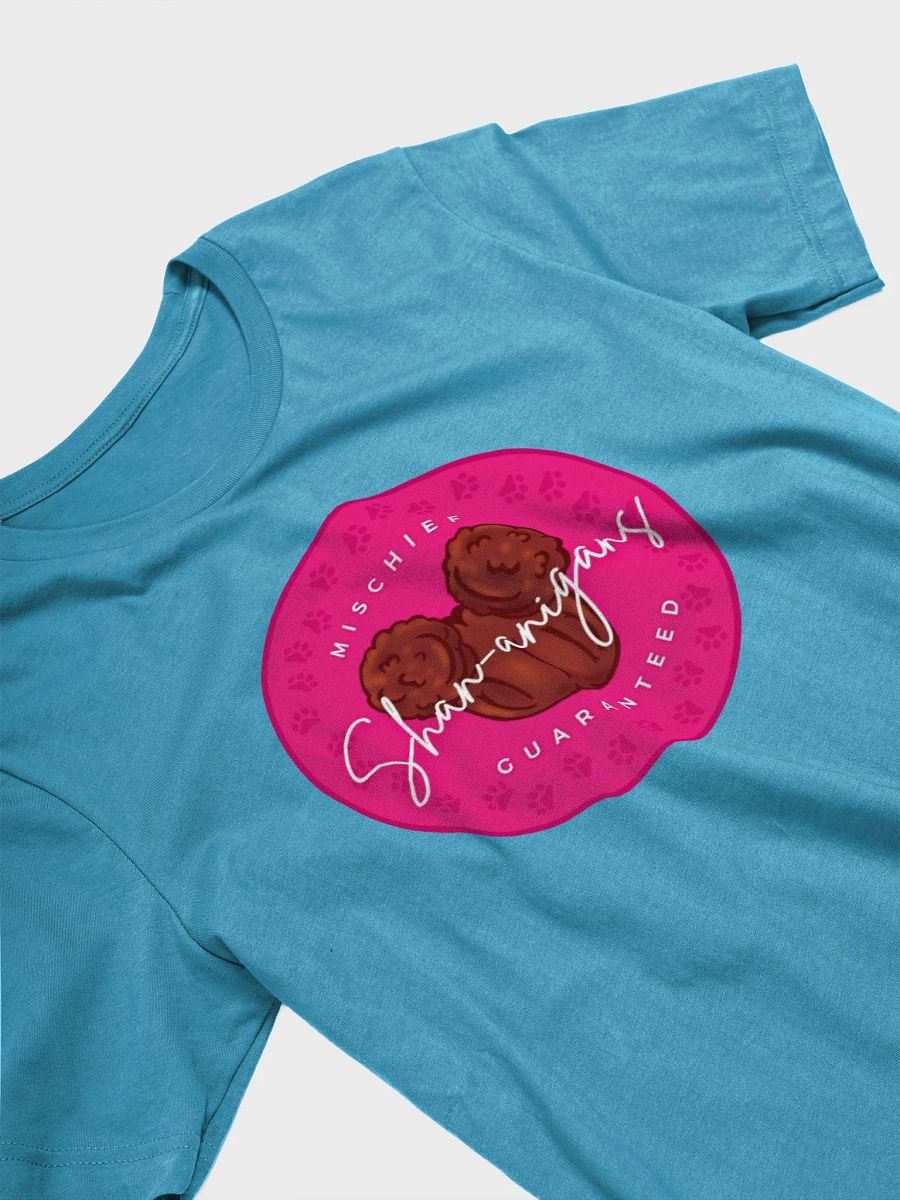 Shan-anigans Logo Bella Soft Tee product image (31)