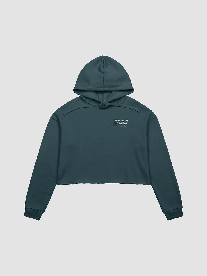 PW & vertical planets cropped hoodie product image (1)