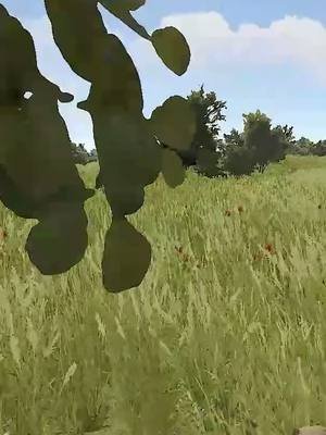 can you help me? #fyp #rust #rustclips #parati 