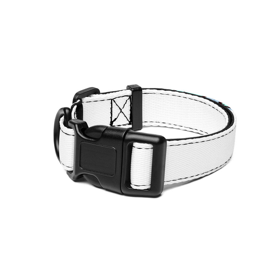 pet collar product image (1)