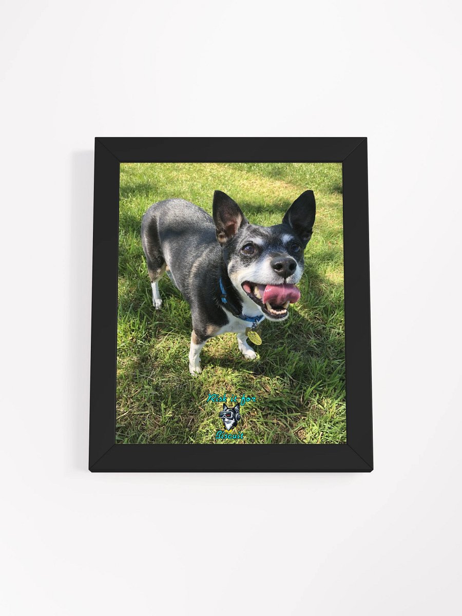 Crew Chief Biscuit - Ready for the summer season! product image (1)