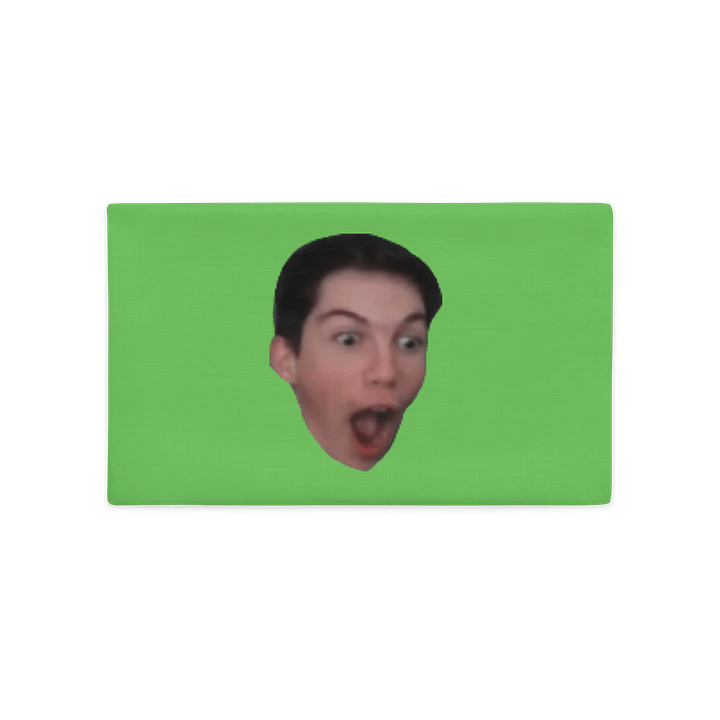 Eloc Pog Pillow product image (2)