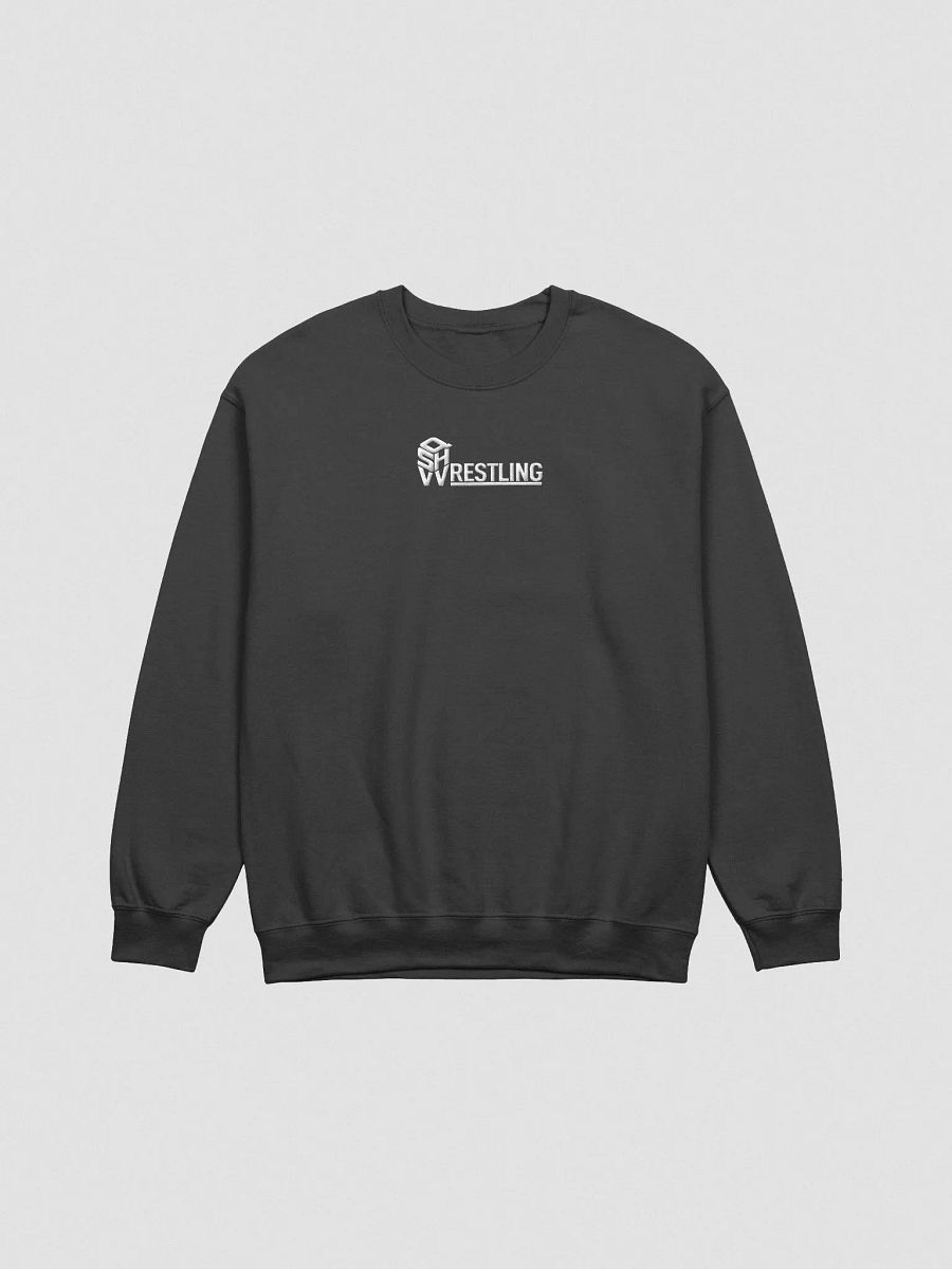 QSHW EMBROIDERED LOGO SWEATSHIRT product image (4)