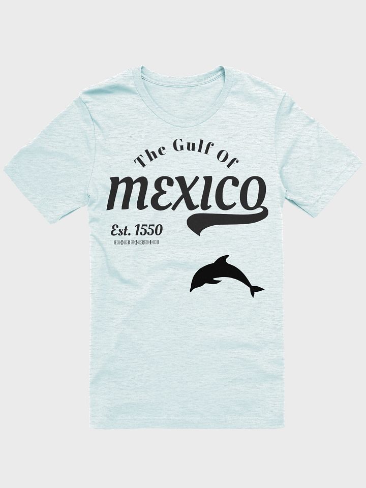 Gulf of Mexico T-Shirt product image (14)