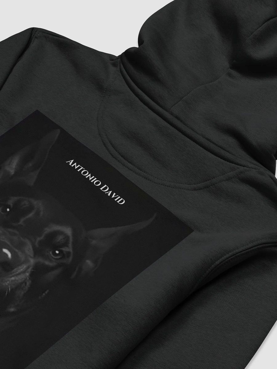 Besat Hoodie product image (3)