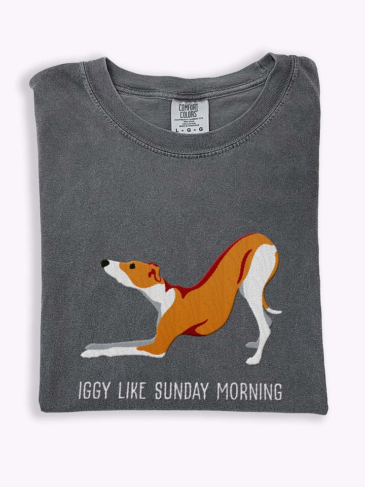 Iggy Like Sunday Morning T-Shirt(Embroidered) of an Italian Greyhound(Brown & White) product image (1)