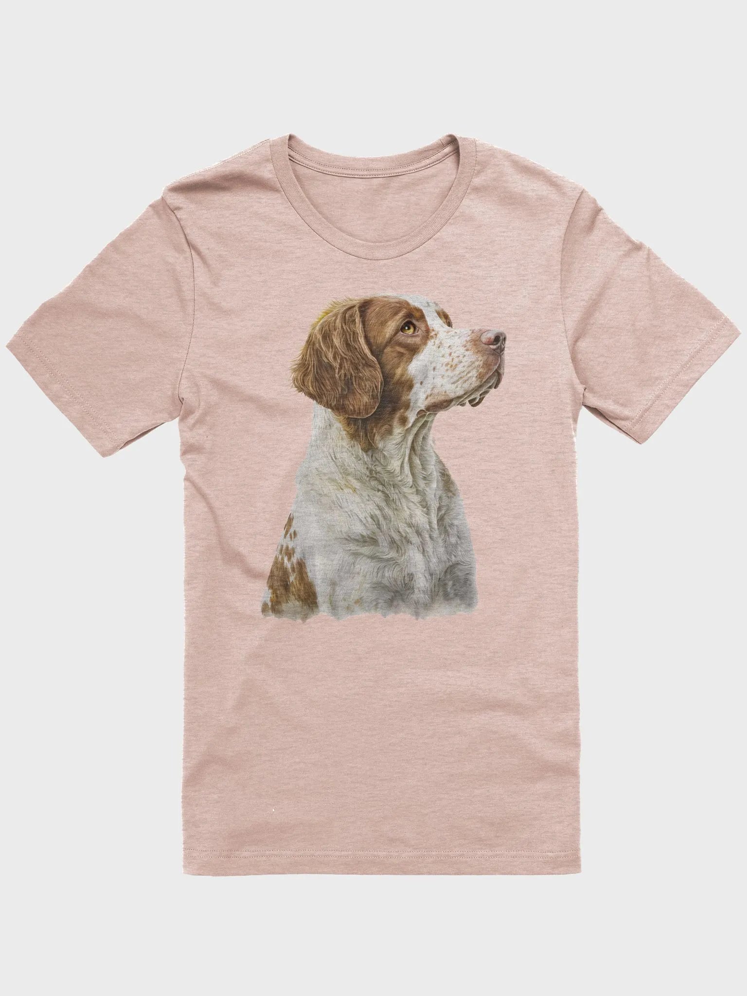 Brittany Spaniel product image (1)