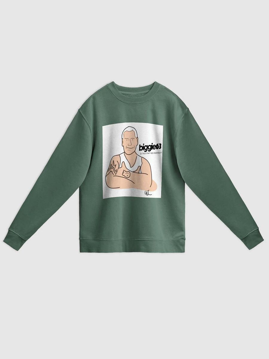 Nn420 Sweatshirt product image (1)