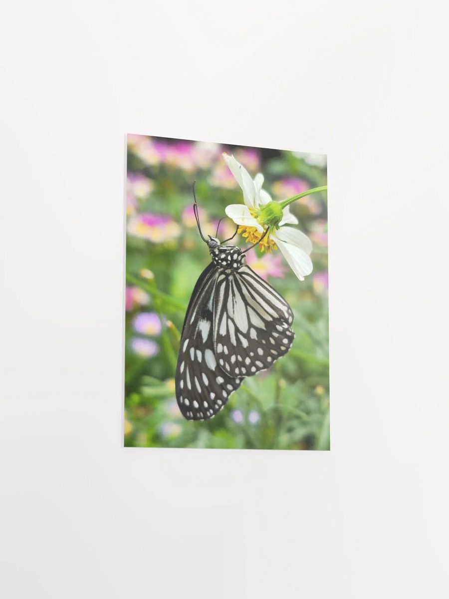 Tropical Paper Kite Butterfly Matte Poster #2 5x7" product image (3)