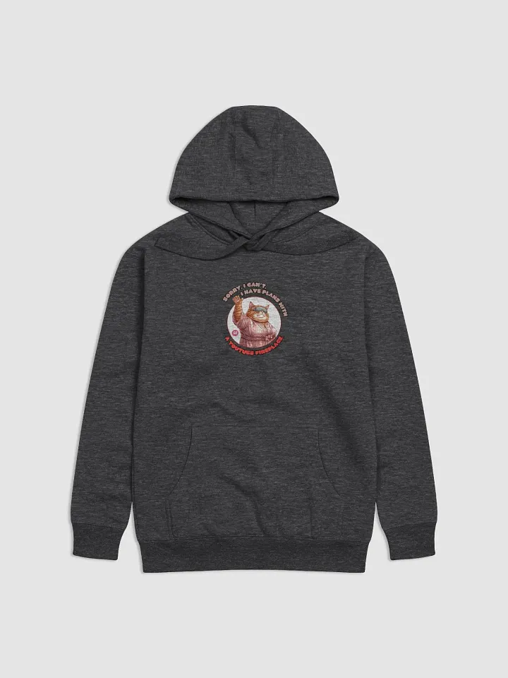 Cozy Cat - Sorry, I can't. I Have Plans With a YouTube Fireplace | Hoodie product image (1)