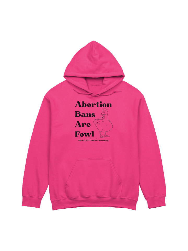Abortion Bans Are Fowl product image (1)