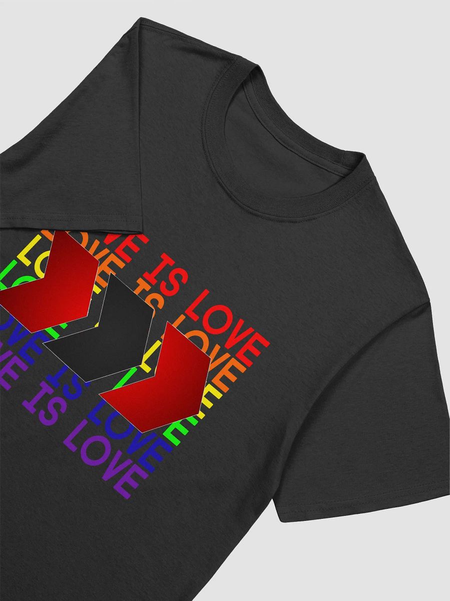 Love Is Love Chevrons product image (19)