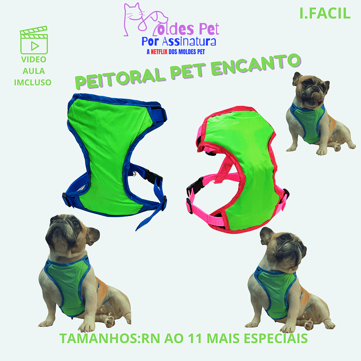 Peitoral Pet Encanto - Modelagem Pet PDF product image (1)
