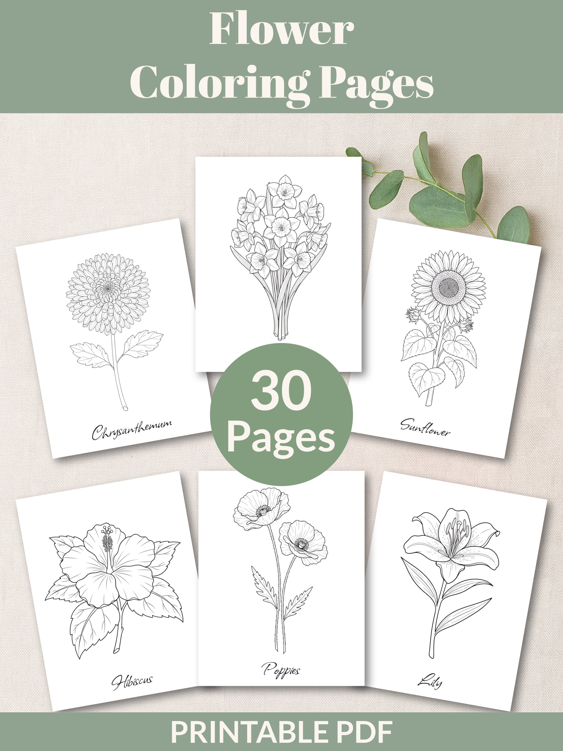 Printable Floral Coloring Pages Bundle product image (2)