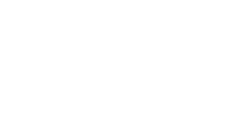 Dimz