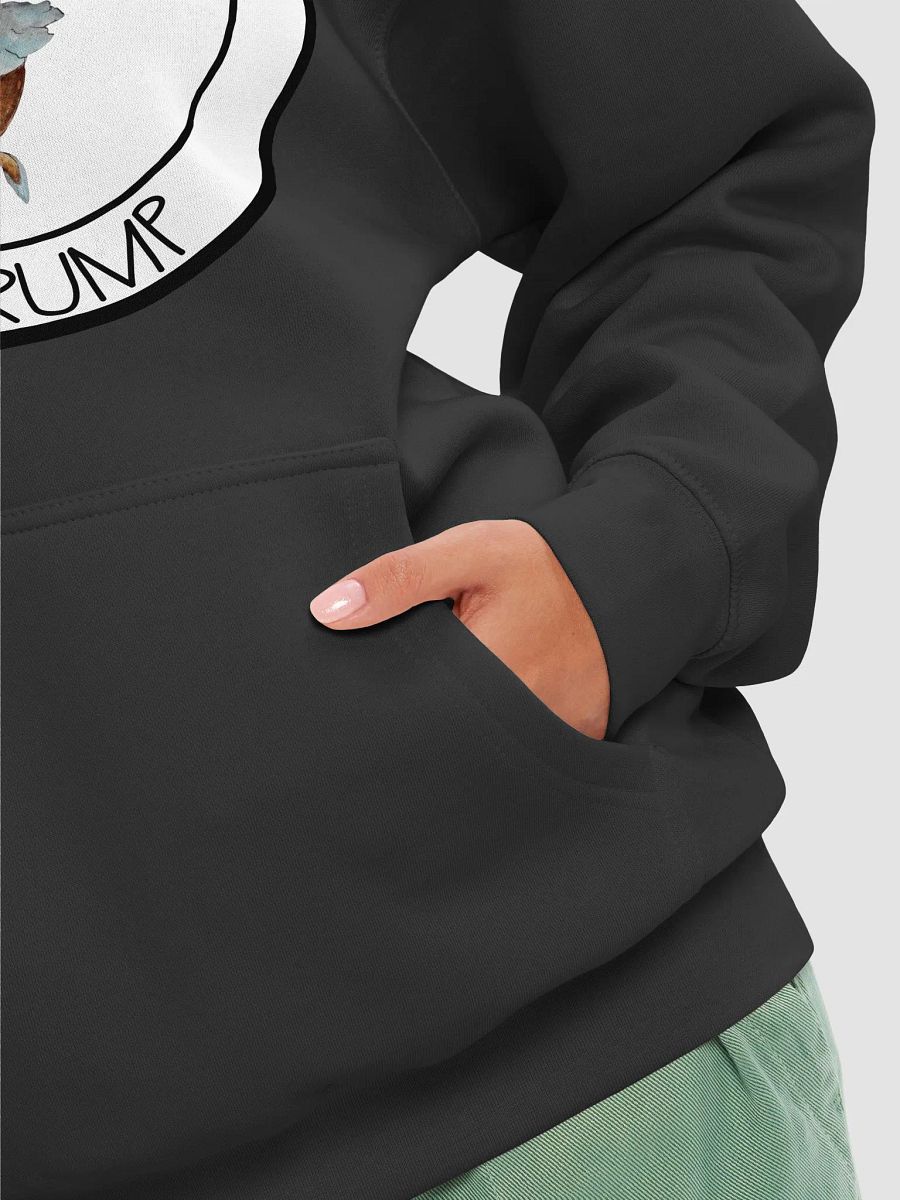 Ballerina Cat With Roses For Trump Hoodie product image (31)