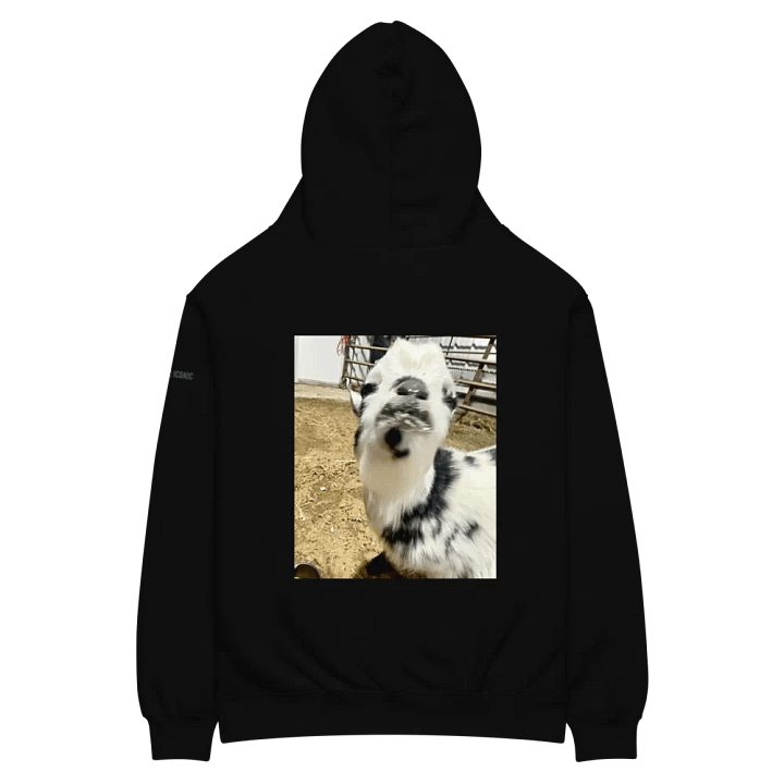 Oversized Hoodie ft. Iconic Choppa product image (1)
