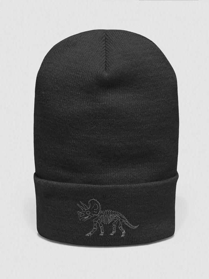 dino skeleton beanie product image (6)