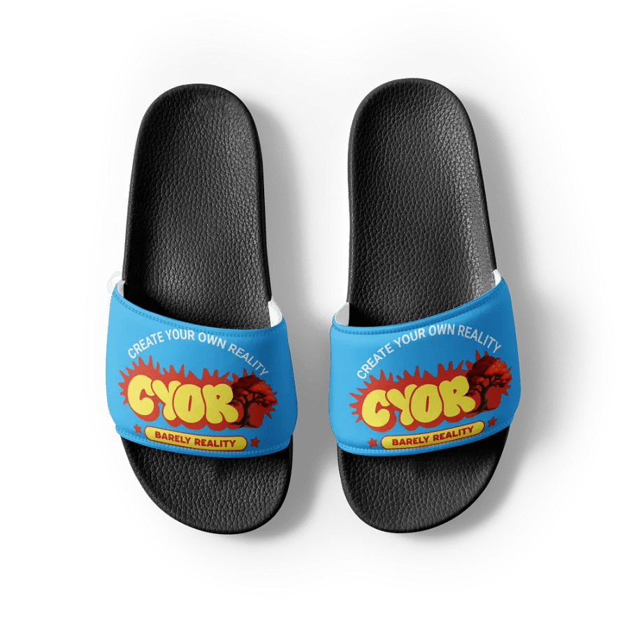 "CYOR V2" SLIDES (DSB) product image (4)