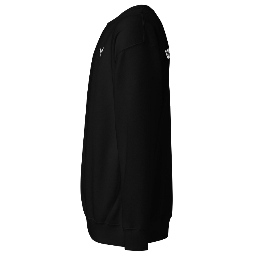 LSV Training Club Pullover product image (4)
