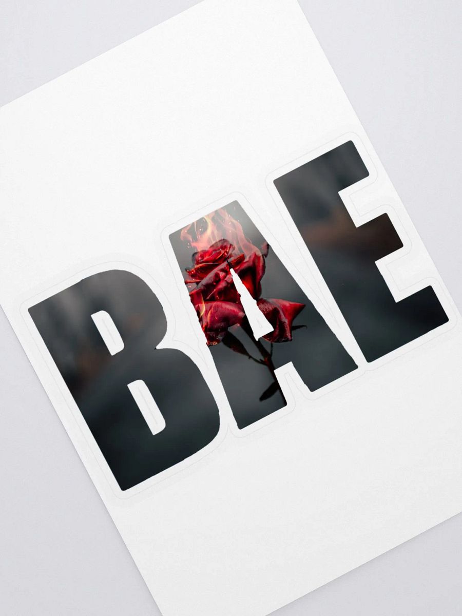 COLD SUMMER COLLECTION Love On Fire Sticker product image (2)
