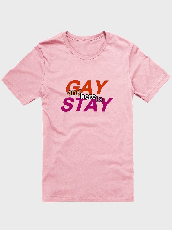 gay and here to stay (lesbian) t-shirt product image (1)