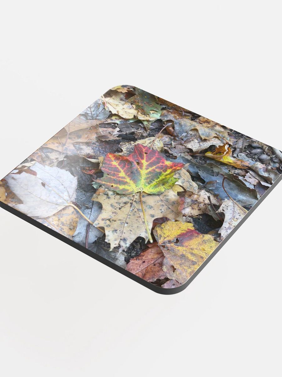 Fall Leaves Cork Coaster product image (4)