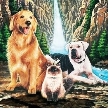 This week on the podcast we’re trying to decide through tears if Homeward Bound is a Movie To Watch Before You Die. listen at...