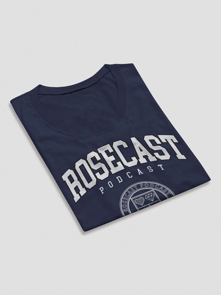 Fancy College T-Shirt (Women's Triblend) product image (4)