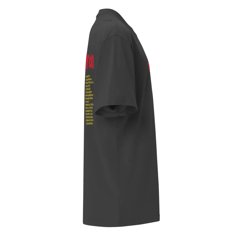 ⚡️ PHILODENDRON WORLD TOUR ⚡️ oversized tee product image (8)