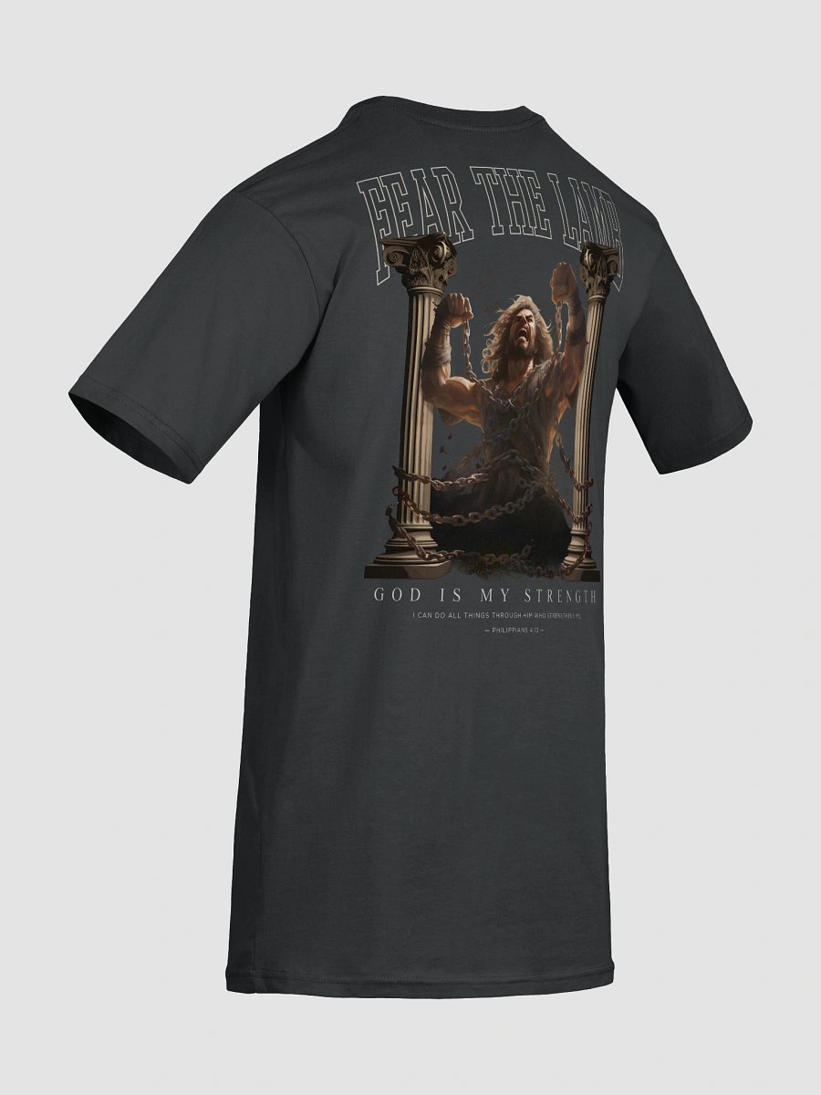 Samson - God is my strength Heavy Tee product image (8)
