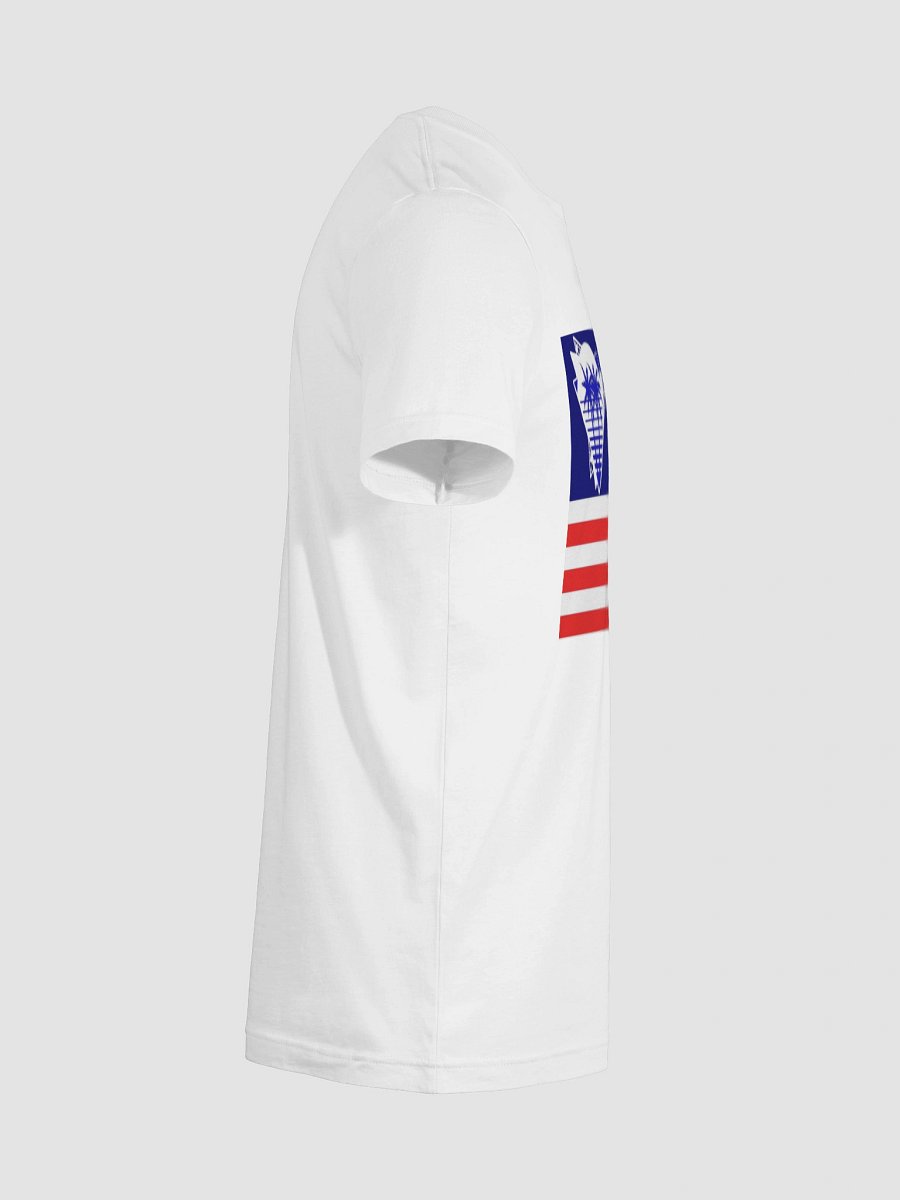 USA FLAG product image (12)