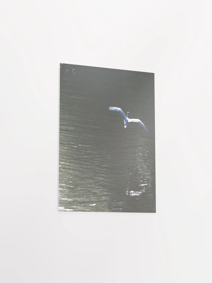 Flying Heron product image (32)