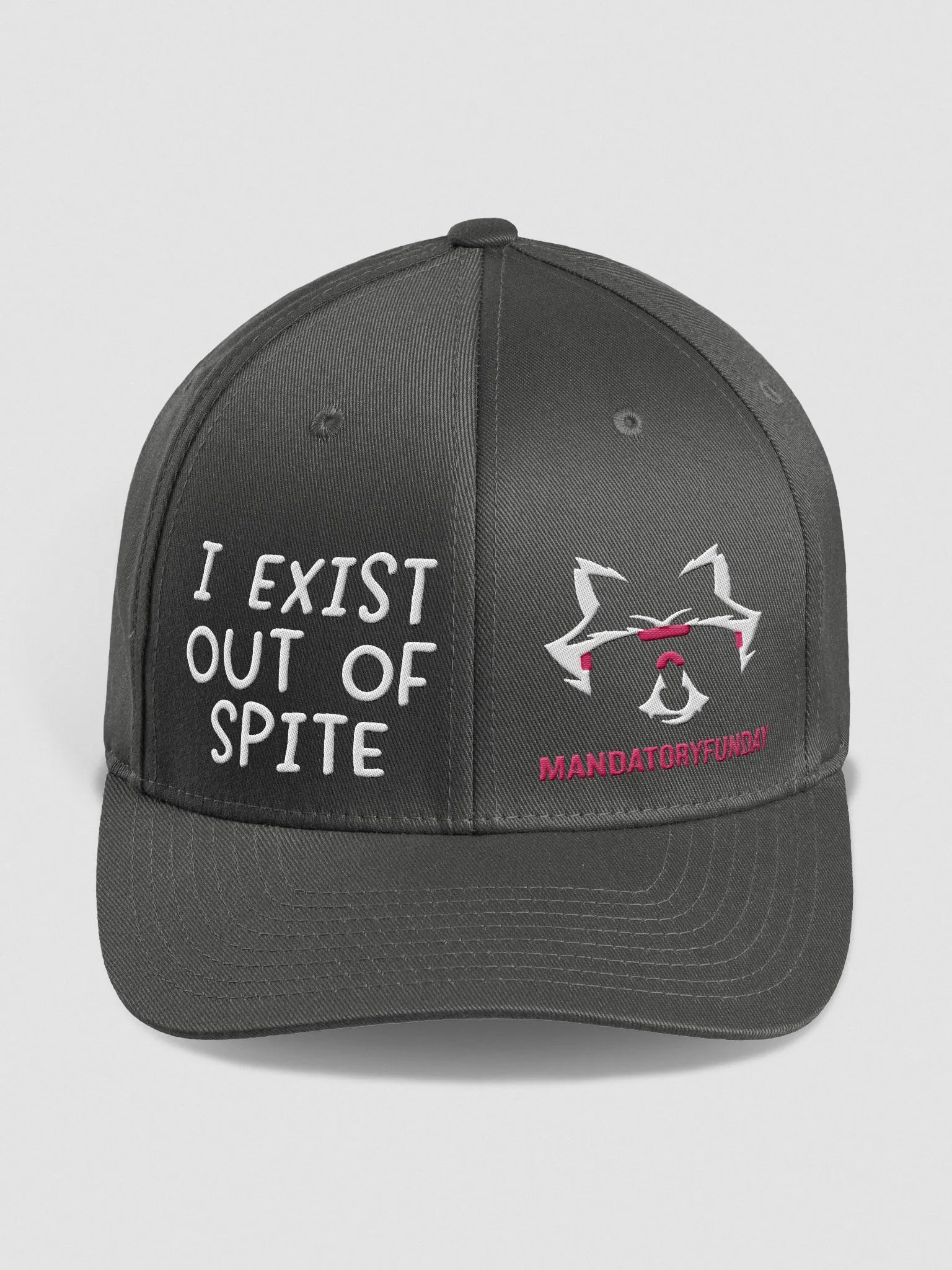 I Exist Out Of Spite Flexfit Hat product image (8)