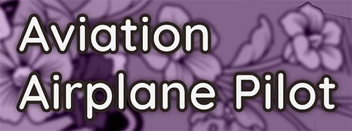 Aviation Airplane Pilot