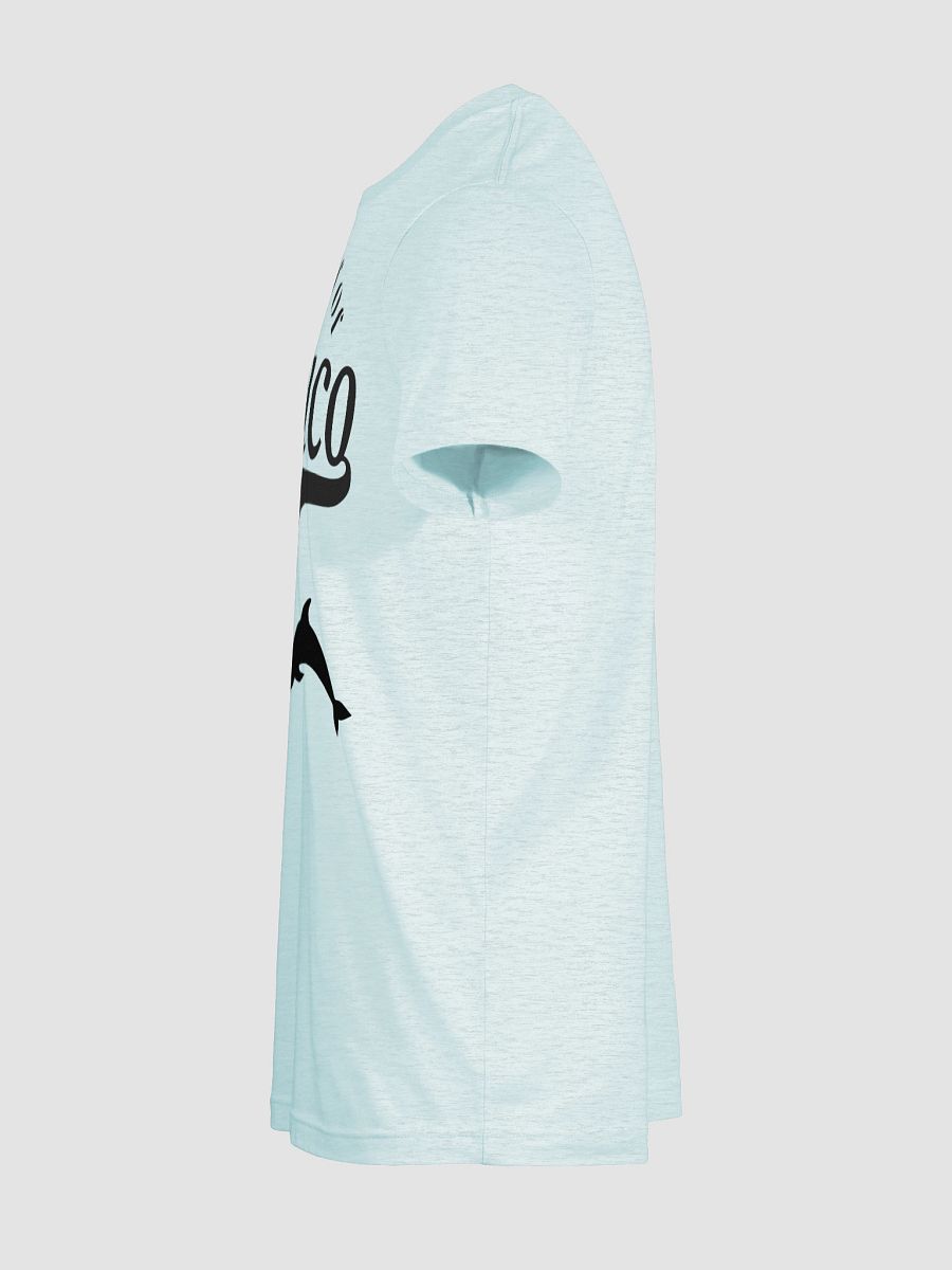 Gulf of Mexico T-Shirt product image (23)