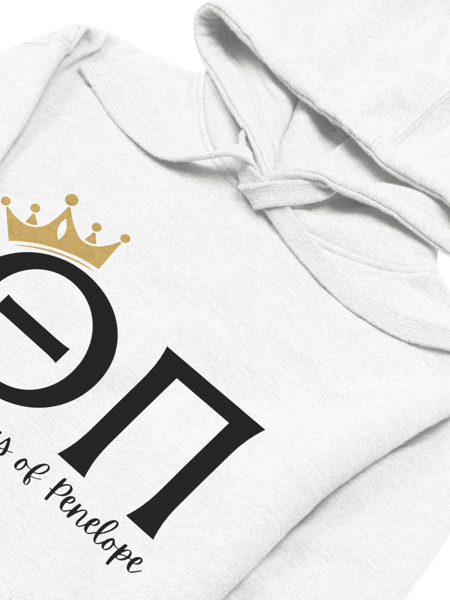 Theta Pi Hoodie product image (3)